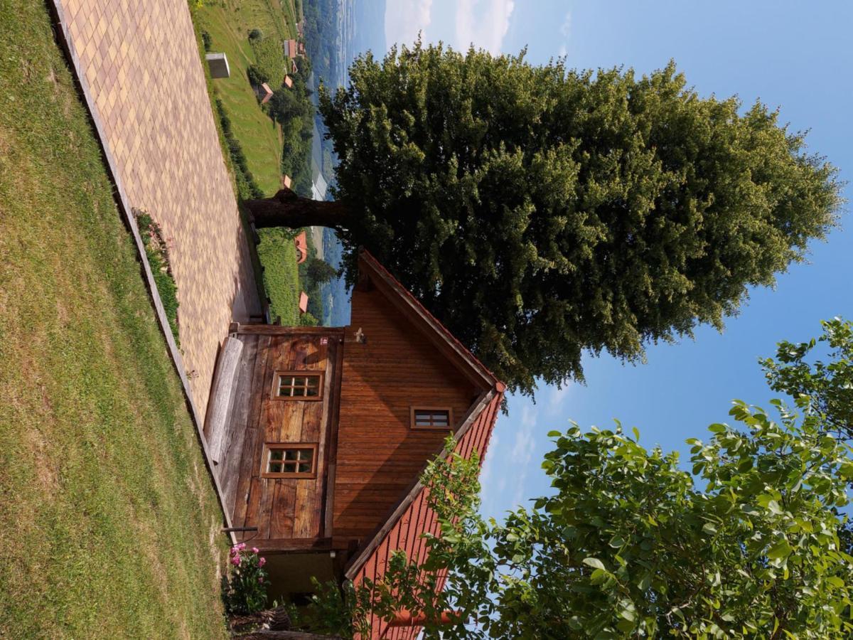 Oldhouse Knezovo Villa Sromlje Ngoại thất bức ảnh